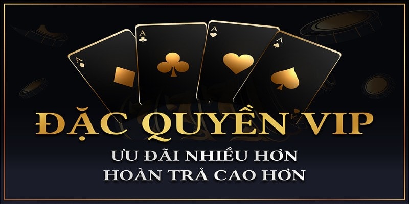 Chương trình VIP 69vn - Đãi ngộ độc quyền dành cho hội viên Chương trình VIP 69vn - Đãi ngộ độc quyền dành cho hội viên