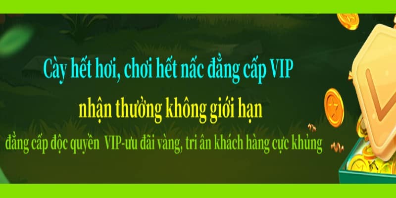Chương trình VIP 69vn - Đãi ngộ độc quyền dành cho hội viên Chương trình VIP 69vn - Đãi ngộ độc quyền dành cho hội viên