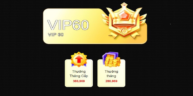 Chương trình VIP 69vn - Đãi ngộ độc quyền dành cho hội viên Chương trình VIP 69vn - Đãi ngộ độc quyền dành cho hội viên